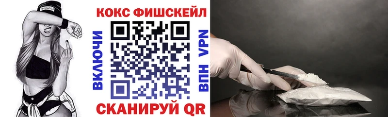 Cocaine FishScale  Купить  Задонск 